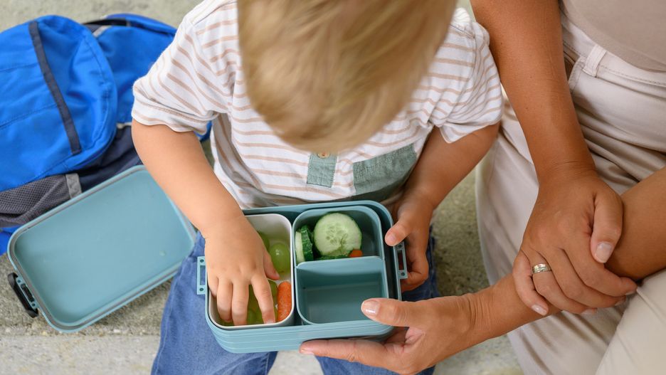 blond-haired boy holding container of food. back to school. homemade meals.
cropped image of blond-haired boy and unrecognizable female holding container of food after kindergarten. back to school. homemade meals. High quality photo
kid, student, school, education, schoolboy, elementary, pupil, break, smile, hungry, learn, primary, group, joy, backpack, preschool, back to school, classmate, reading, together, book, counter, lunch, boy, person, health, sitting, male, nourishment, little, holding, caucasian, nutrition, adorable, family, morning, food, snack, breakfast, fruit, day, delicious, fresh, mother, care, vegetables, kindergarten, kid, student, school, education, schoolboy, elementary, pupil, break, smile, hungry, learn, primary, group, joy, backpack, preschool, back to school, classmate, reading, together, book, counter, lunch, boy, person, health, sitting, male, nourishment, little, holding, caucasian, nutrition, adorable, family, morning, food, snack, breakfast, fruit, day, delicious, fresh, mother, care, vegetables, kindergarten