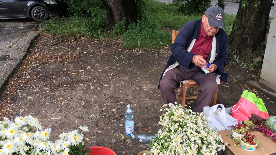 Wrocław. Takiej botwinki w markecie nie znajdziecie. Kupujcie u działkowców