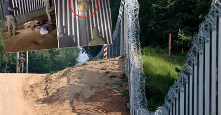 Skandal na granicy. Polityk PiS: to drobny incydent