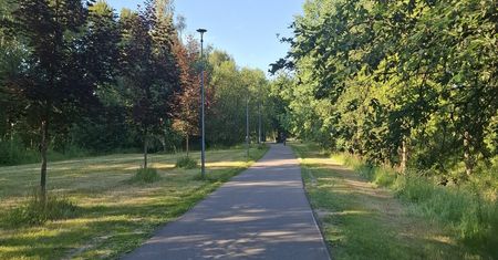 To najpiękniejsza ścieżka rowerowa w Zagłębiu. Trasa wokół Pogorii zachwyca