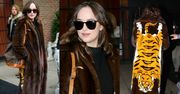 Dakota Johnson w futrze z tygrysem za 140 TYSIĘCY