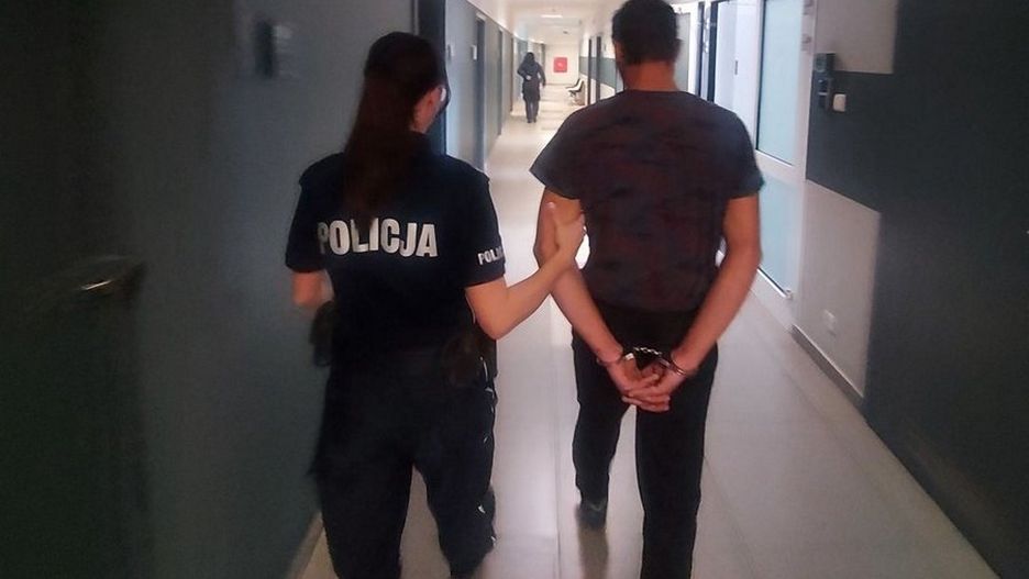 Policja zatrzymała 23-latka, który znęcał się nad kotami