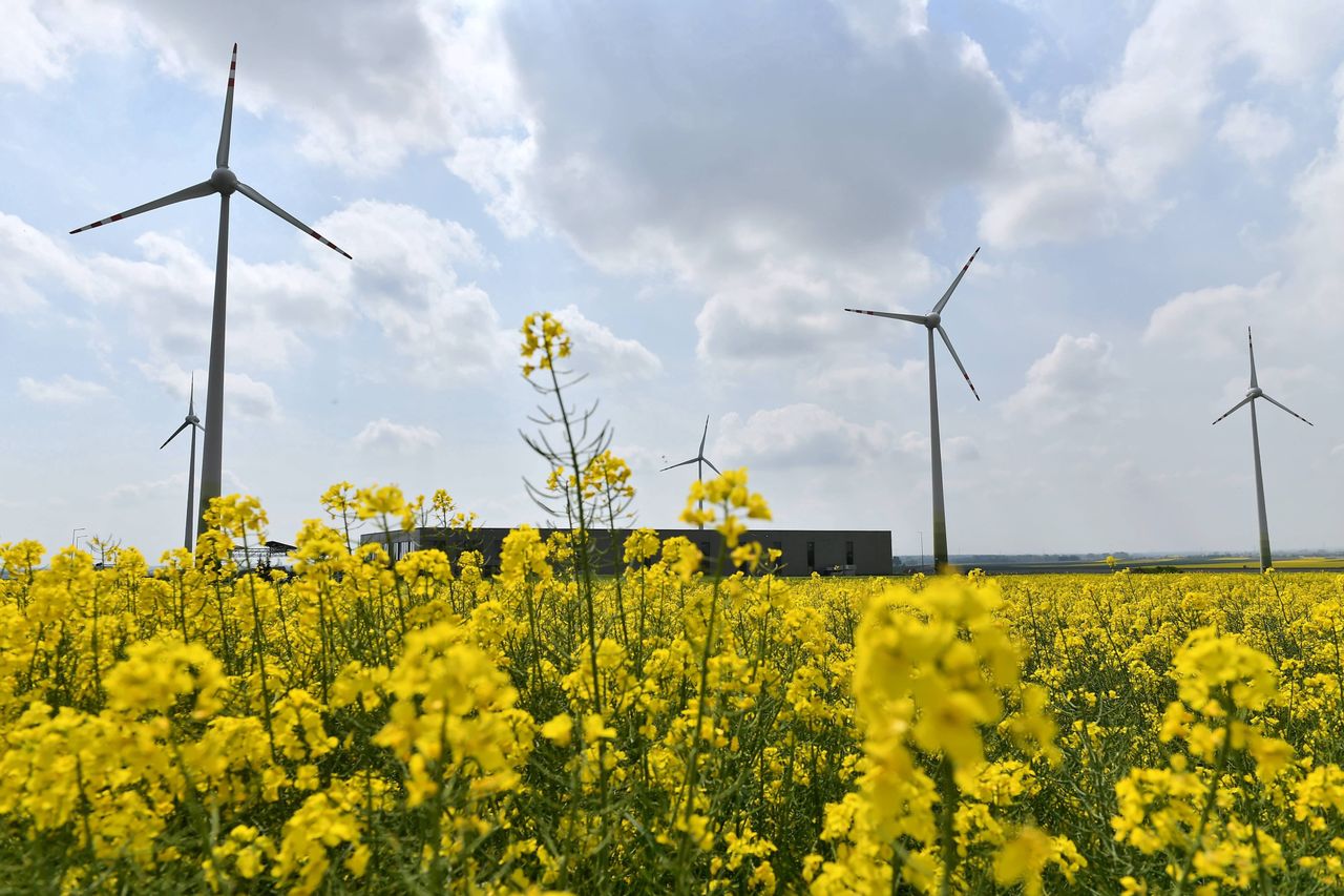 IBRiS: Polacy nie mają wątpliwości. Zmianom klimatu winny jest człowiek