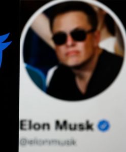 Musk oskarża Twittera o oszustwo. Złożył pozew