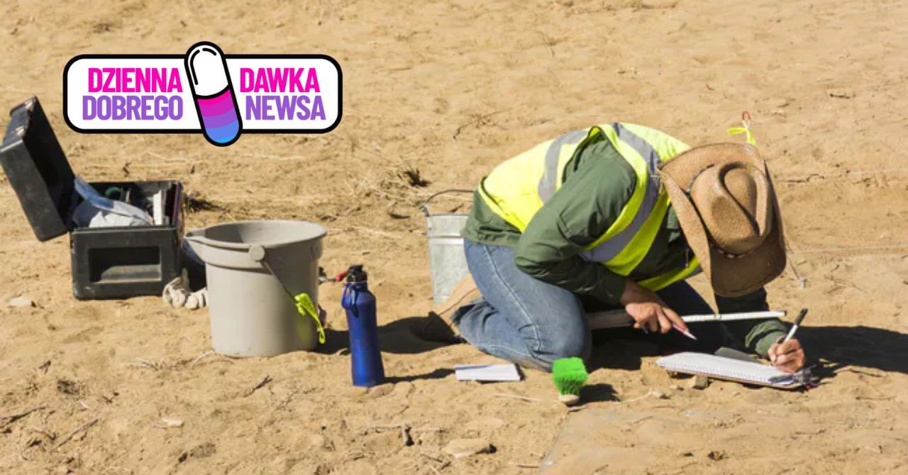 Niezwykłe odkrycia w Bree. Blisko 400 zabytków