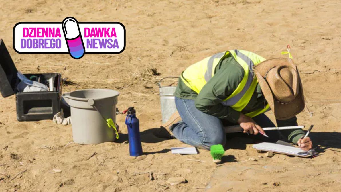 Zdjęcie ilustracyjne