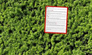 "Może cię zabić". Leśnicy biją na alarm