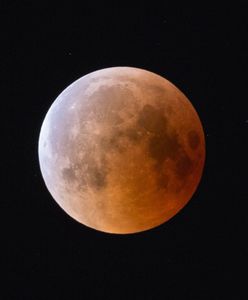 Zaćmienie księżyca 19 listopada 2021. O której godzinie i gdzie w Polsce?