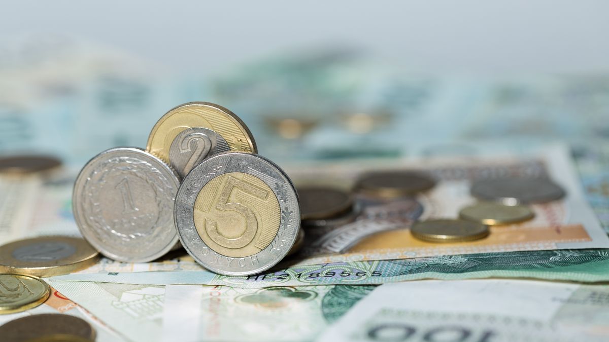 Złoty jest najmocniejszy od wybuchu pandemii