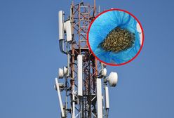 Przed policją uciekł na maszt telefoniczny. W domu miał narkotyki