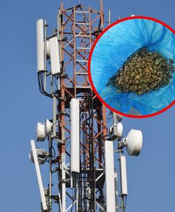 Przed policją uciekł na maszt telefoniczny. W domu miał narkotyki