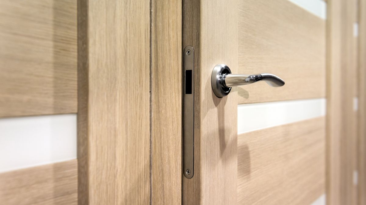 Jak pozbyć się mrówek?