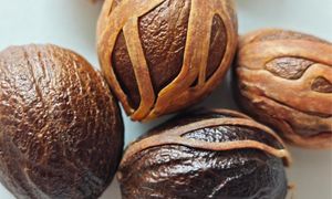 Władysław Jagiełło zachwycał się tą przyprawą. Łagodzi bóle stawów i ułatwia zasypianie