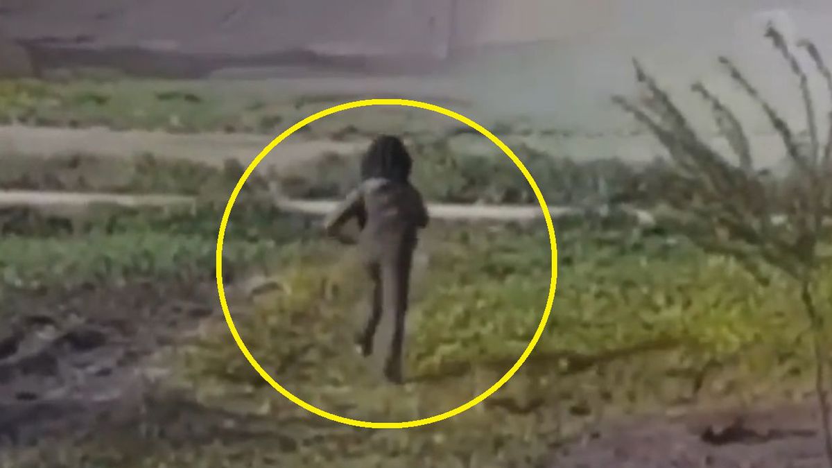 8-letni Aleksiej Pawliczenko stał się nowym symbolem w rękach rosyjskiej propagandy