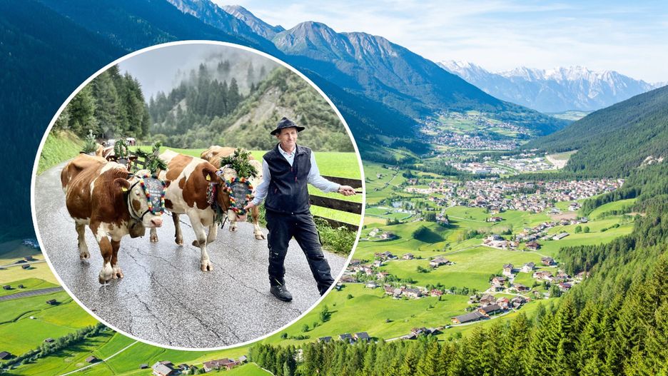 W sobotę 22 września krowy uroczyście przeszły przez Milders w dolinie Stubai