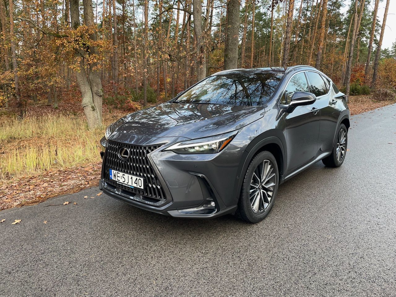 Lexus NX450h+