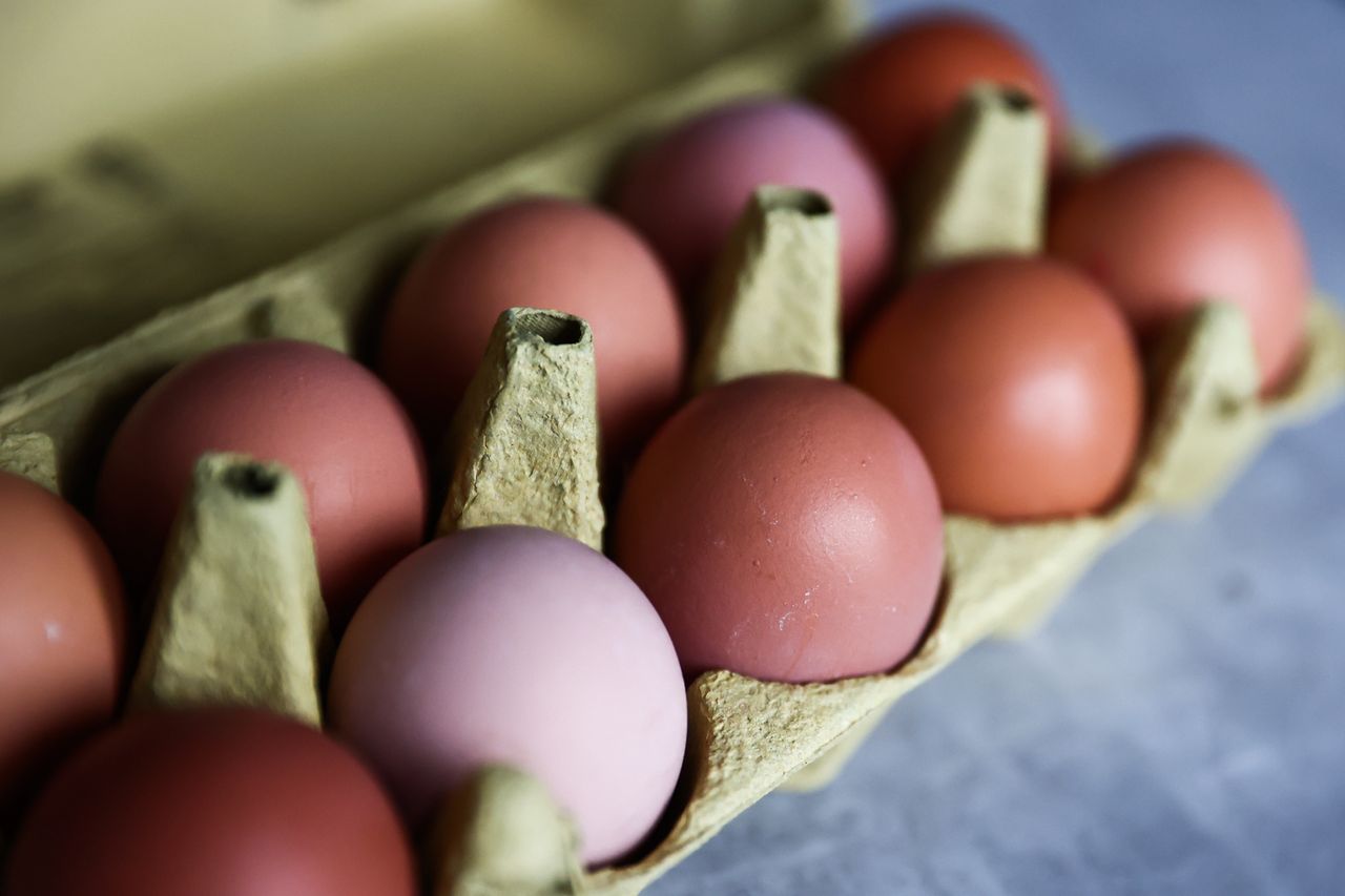 Eggs are a source of valuable protein, as well as many other nutrients