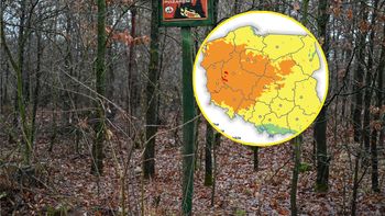 Rośnie zagrożenie w polskich lasach. Wszystko widać na mapach