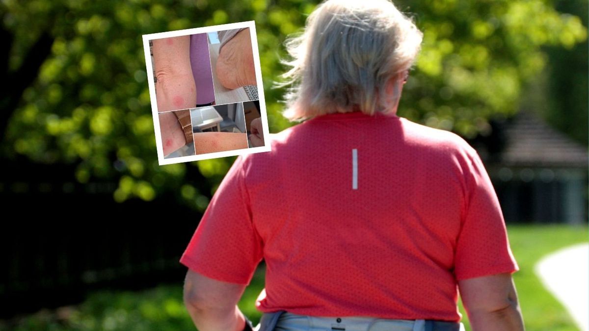 Zdjęcie ilustracyjne