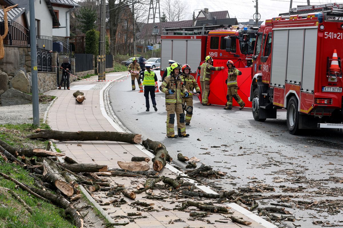 wiatr, drzewa, strażacy Wiatr o sile 130 km/h. Policja apeluje o zostanie w domach