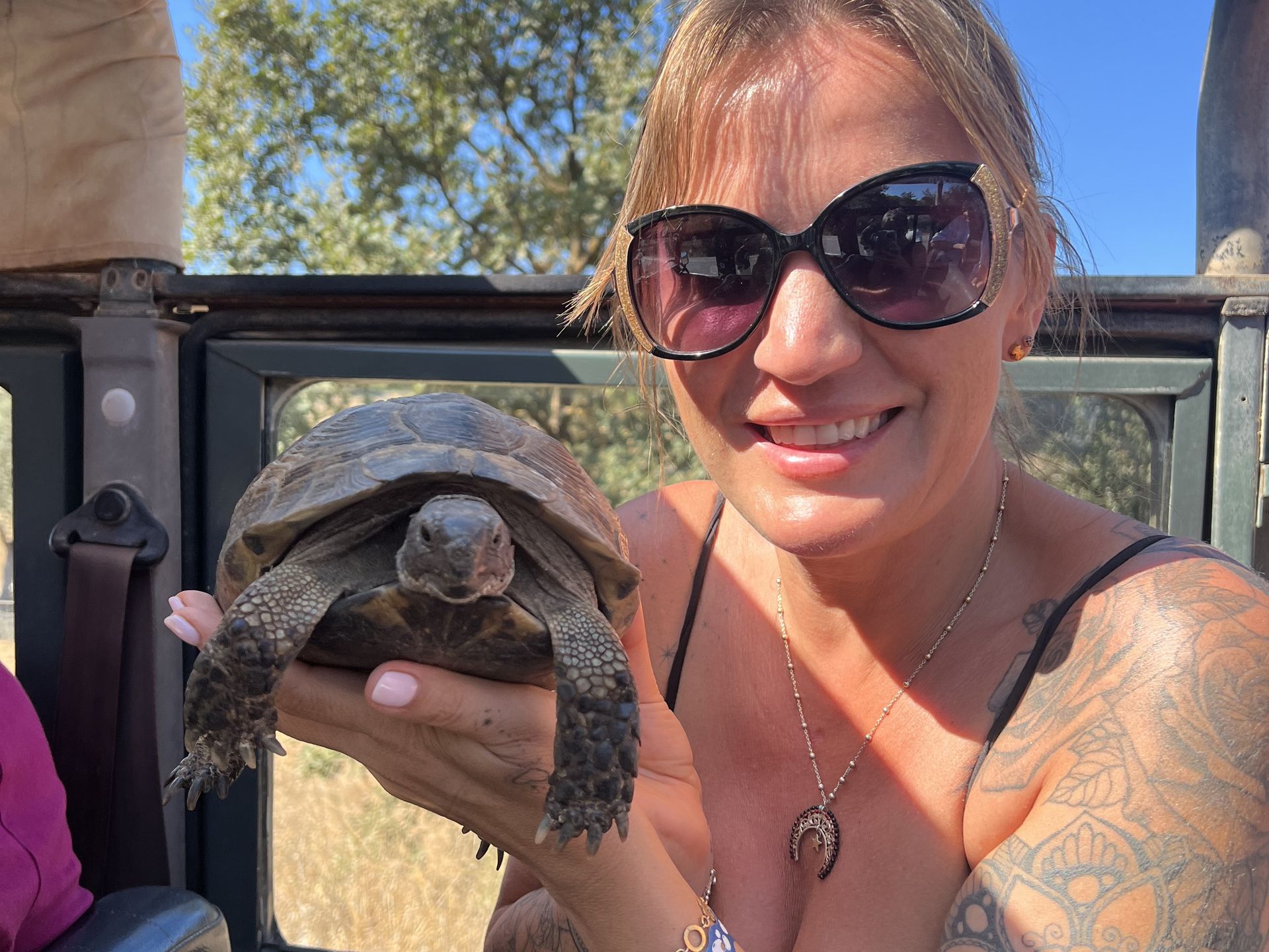 W okolicach Turtle Lake żółwie są dosłownie wszędzie