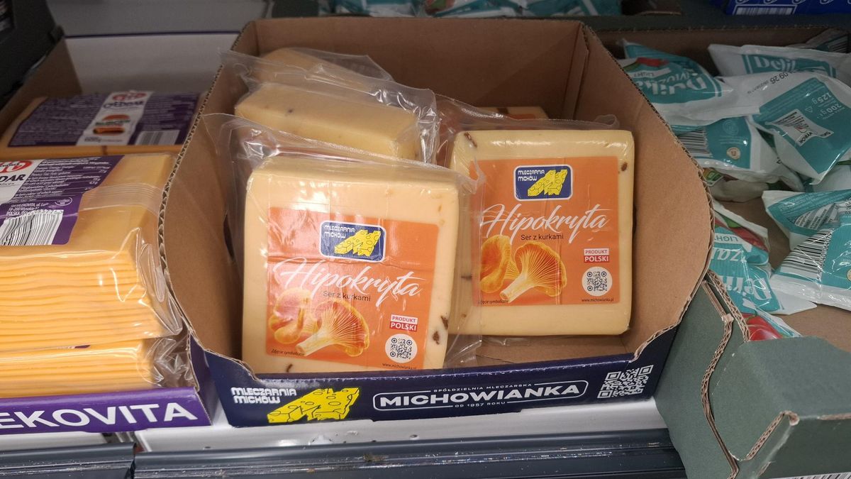 Ser Hipokryta w Biedronce