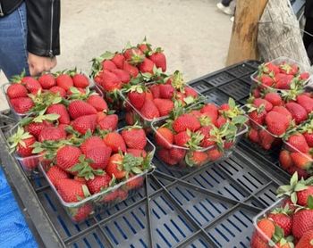 Spojrzał na truskawki sprzedawane jako polska Rumba. "Oszustwo"