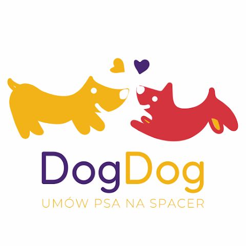 DogDog