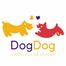 DogDog icon