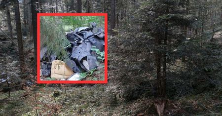 Straż Leśna wkroczyła do akcji. Znaleźli sprawcę. "Wykonane"