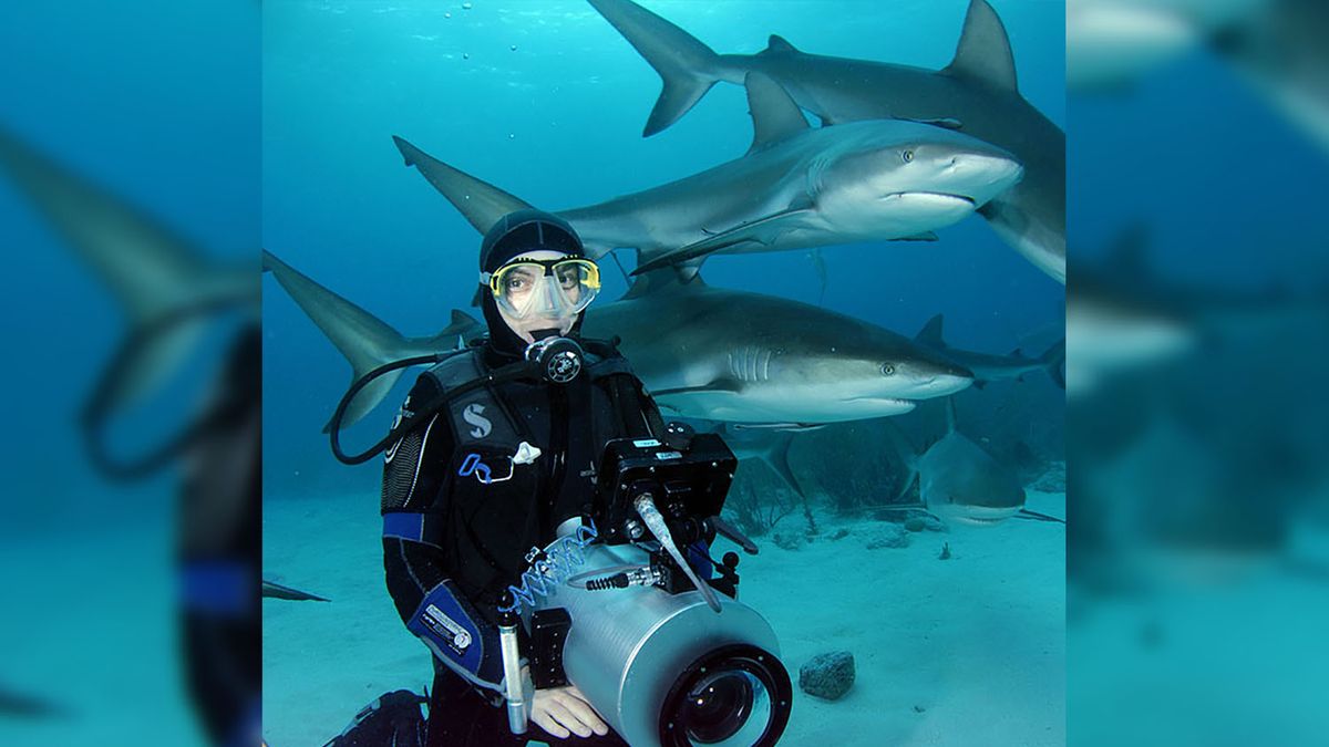 Odszedł Darek Sepioło – uznany filmowiec i fotograf podwodny 1