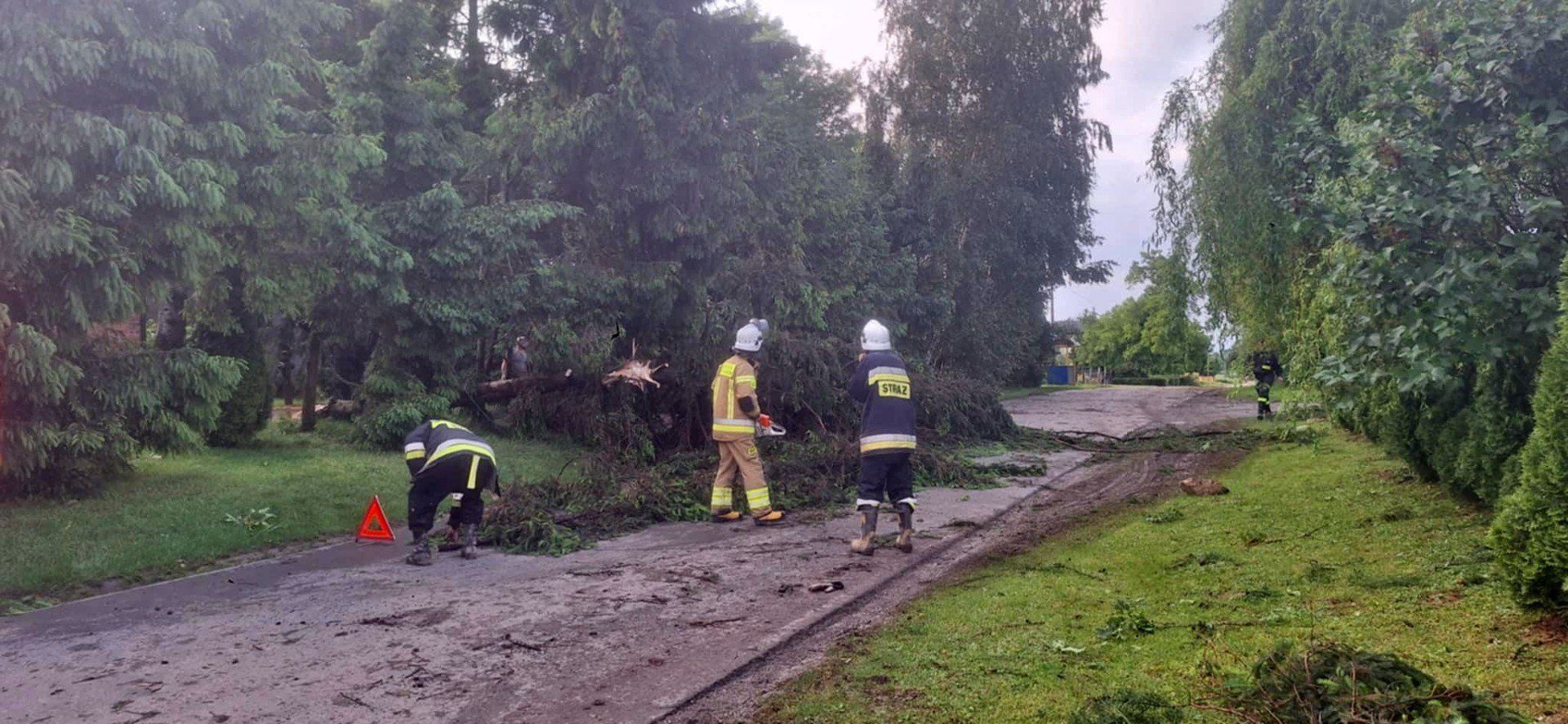 Powalone drzewa po nawałnicy w miejscowości Modliborzyce w powiecie opatowskim