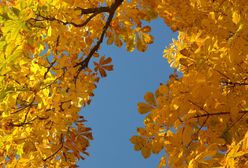23 września - pierwszy dzień jesieni. "Złota" pora roku zachwyci miłośników nieba