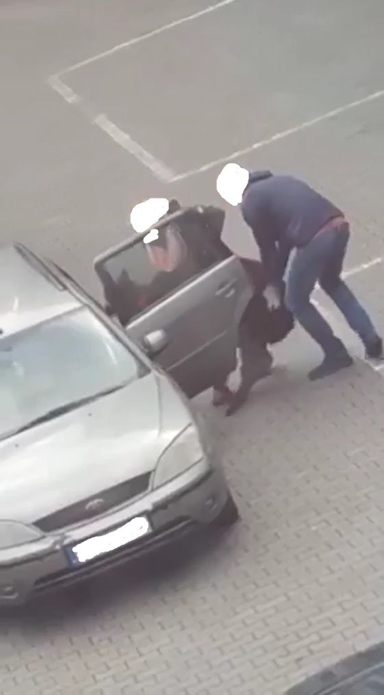 Kobieta wraz z mężczyzną wpychają alpakę na tylną kanapę auta