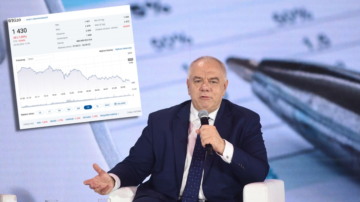 WIG 20 od początku roku stracił 35 proc. swojej wartości.
