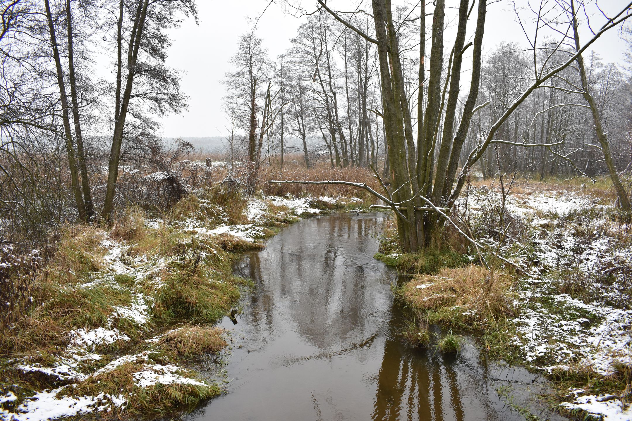 Nikon D3400 - test lustrzanki dla każdego 72