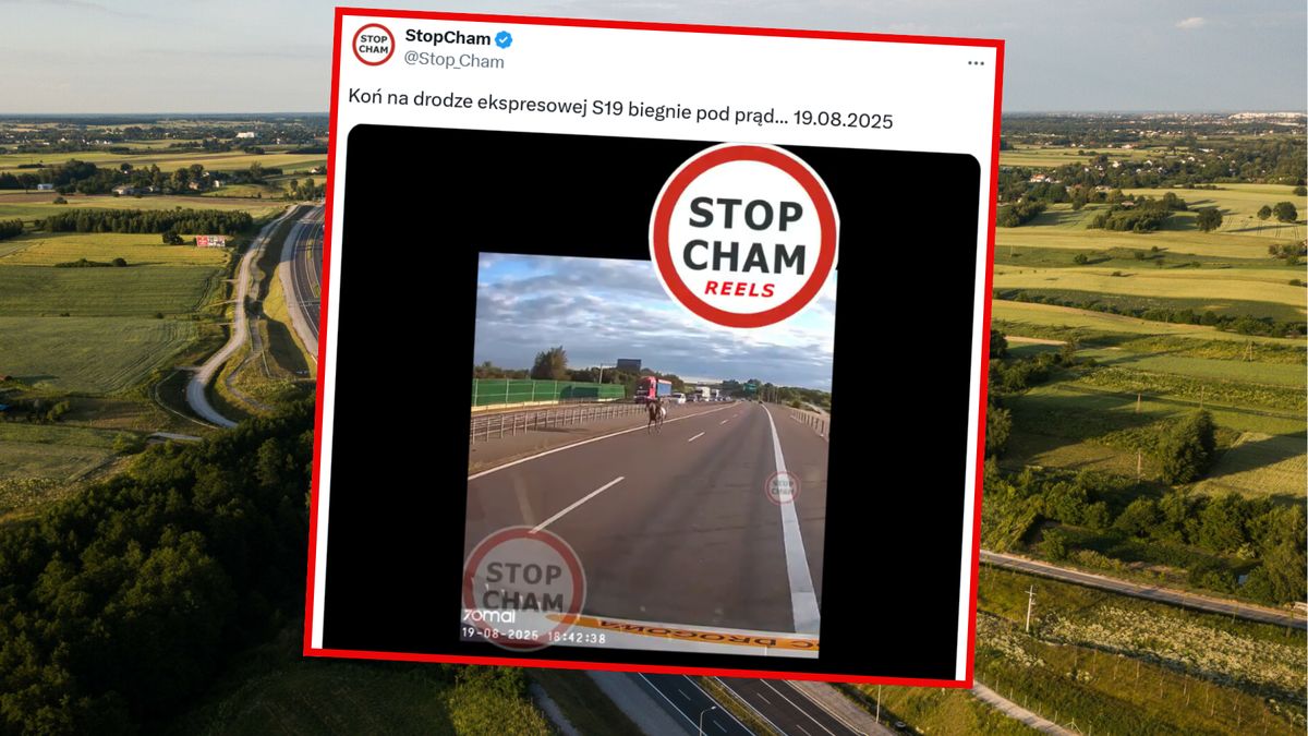 Nagranie obiegło media społecznościowe