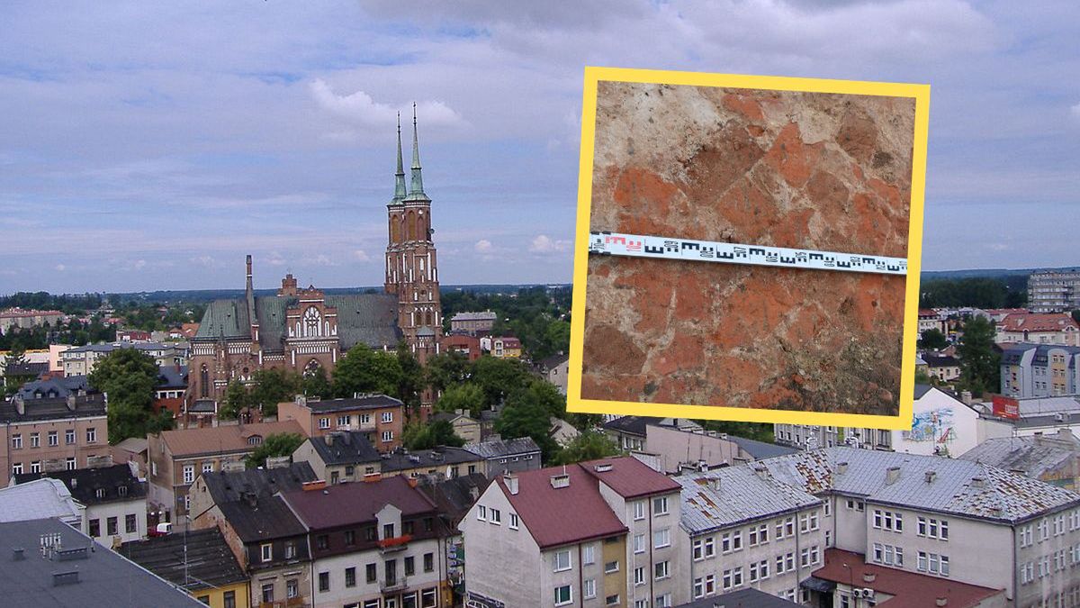 Odkrycie w Siedlcach