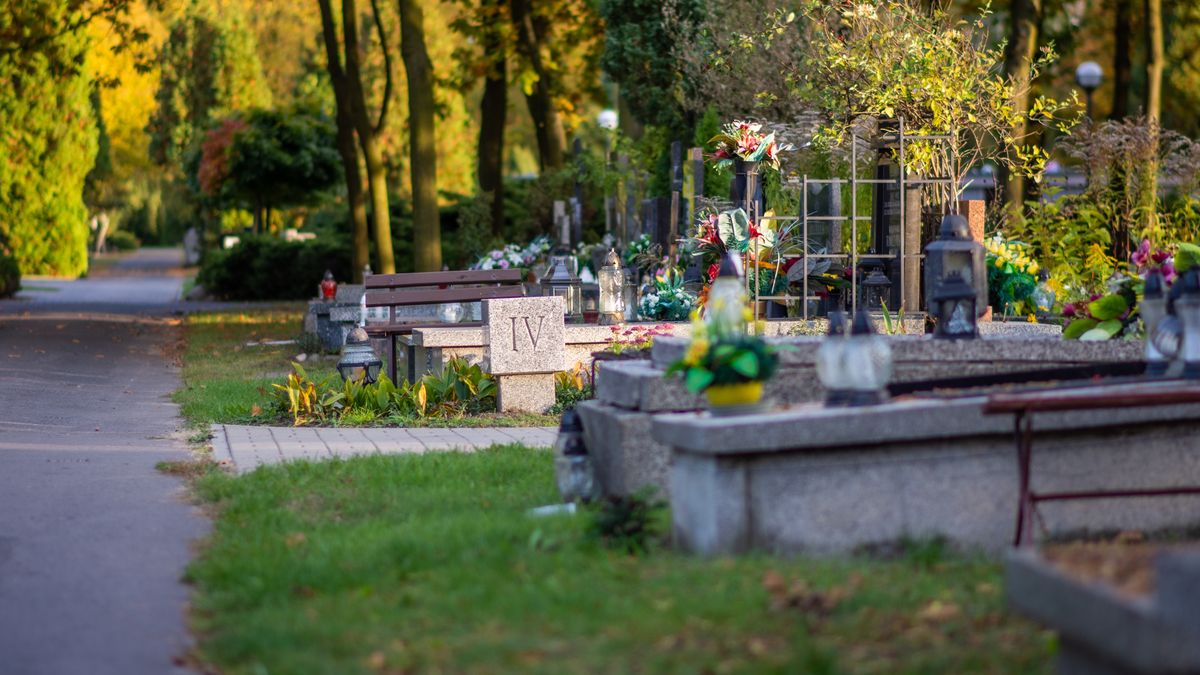 Jak pozbyć się chwastów na cmentarzu - zdjęcie poglądowe