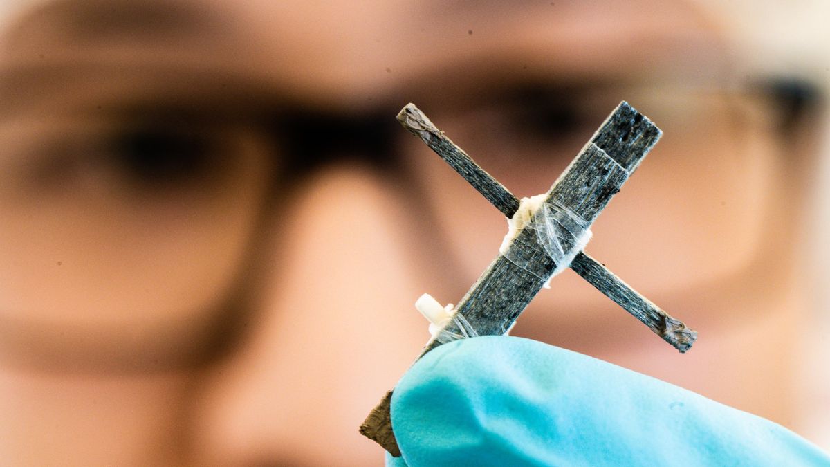 Drewniany tranzystor.