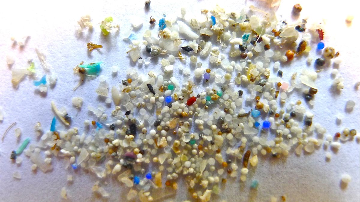 Mikroplastik stanowi zagrożenie dla ludzkiego zdrowia