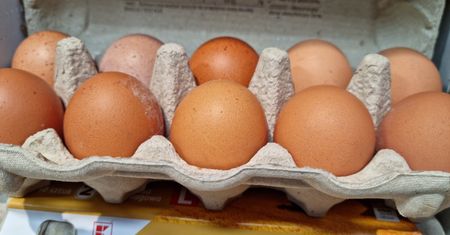 Tymczasowe rozwiązanie w handlu UE-Ukraina. Będą wyjątki na 13 produktów rolnych
