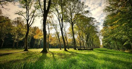 Koronawirus. Zmiany w ograniczeniach od 20 kwietnia. Nie tylko parki i lasy