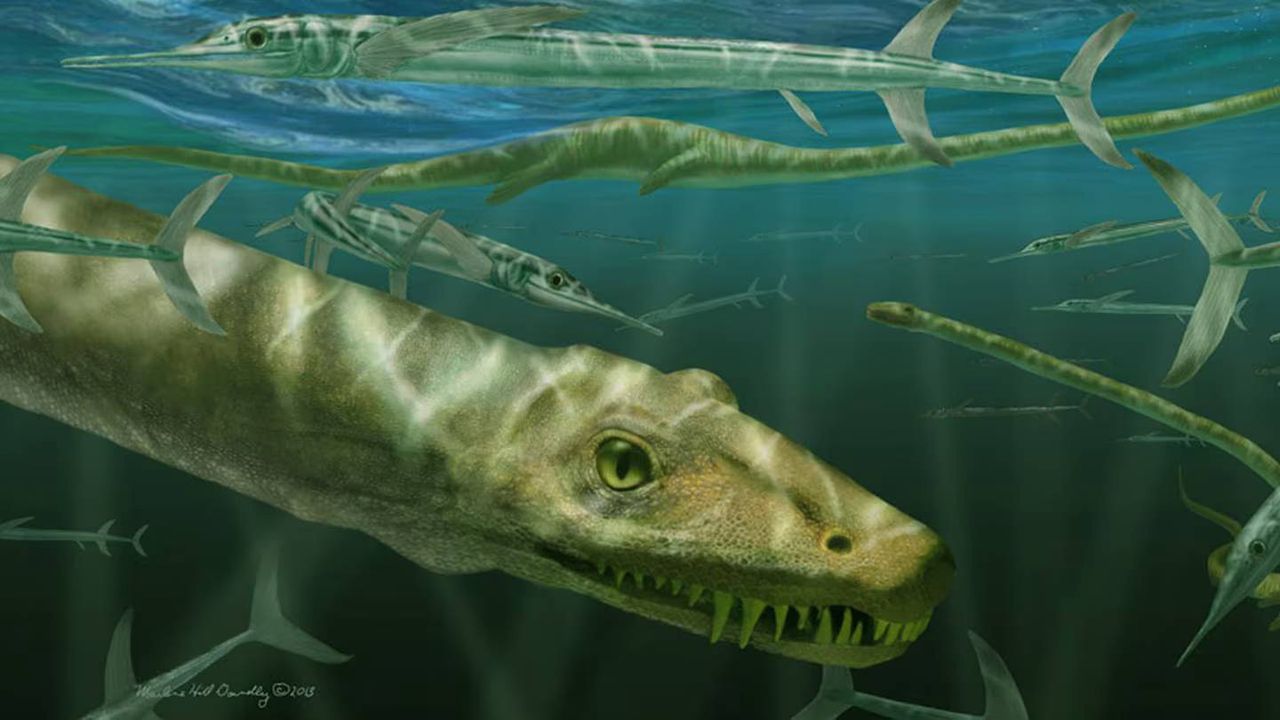 Dinocefalosaurus orientalis - nowo odkryty gad mógł być do niego podobny