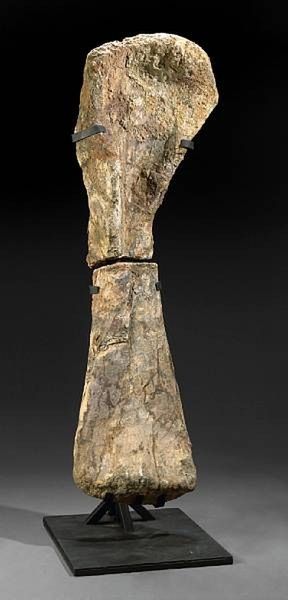 bone