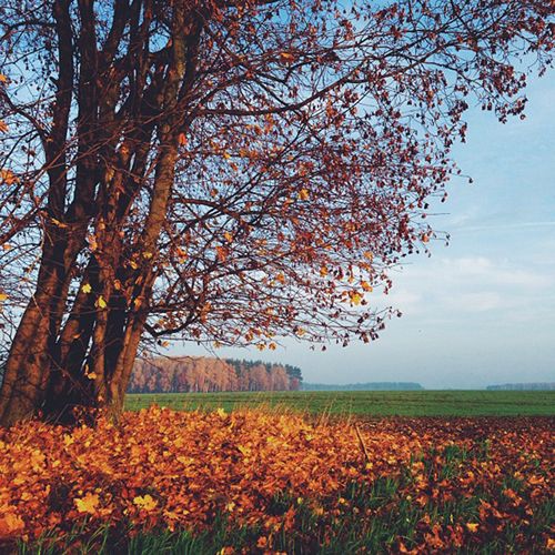 Fotograficzne inspiracje z Instagrama [cz. 2] 27