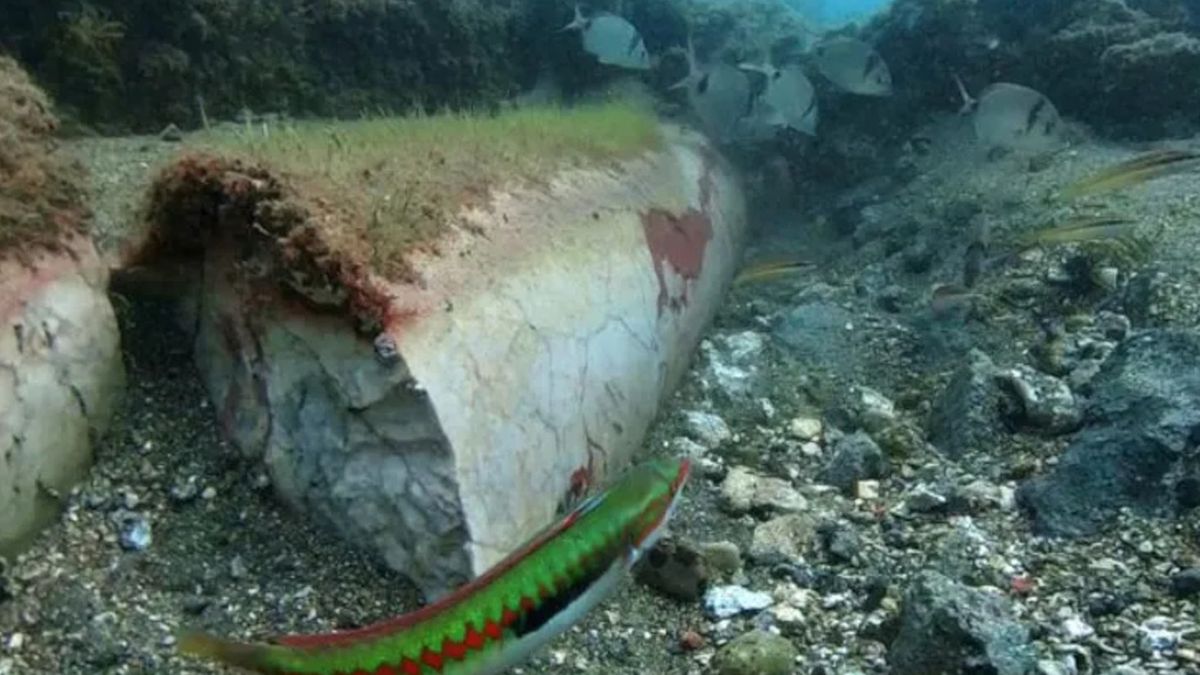 Skarby w zatopionym mieście Baje