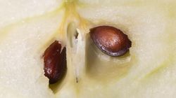 Naukowcy wskazali trzy produkty. Dowiedziony wpływ na nadciśnienie