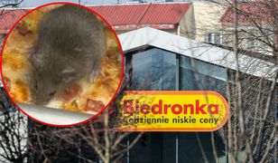 Mysz biegała po pieczywie w Biedronce. Incydent miał się powtórzyć