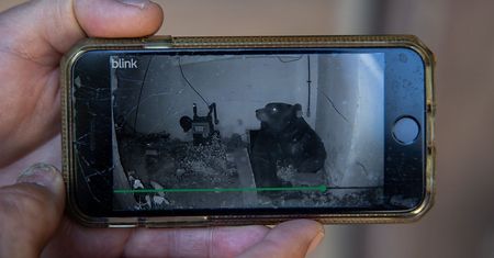 Usłyszał huk. Tajemniczy lokator przyprawił go o dreszcze